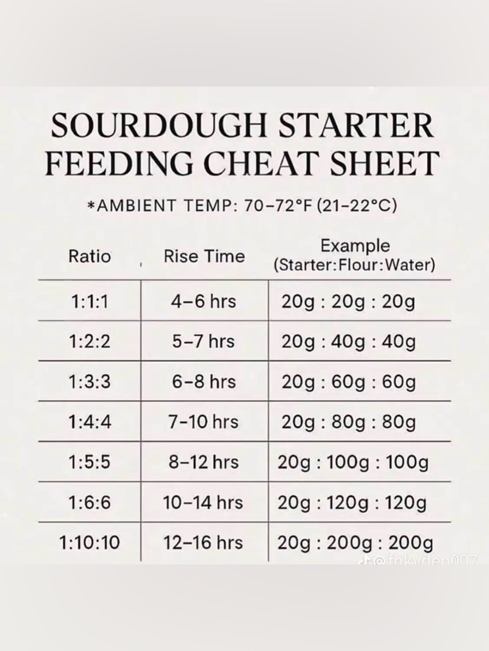 Sourdough Starter (4 Months Old) – $10 Each or 2 for $15 🥖 - Picture 8 of 14